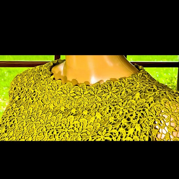 ▪️VTG▪️ALFRED WERBER▪️ILGWU▪️1960's 1970's Floral Lace Overlay Cotton Midi Dress - Picture 3 of 8